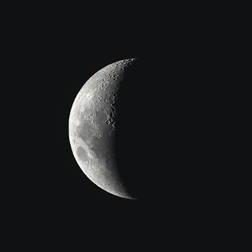 Profile photo of 