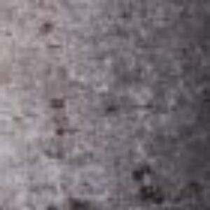 Profile photo of gillleonard