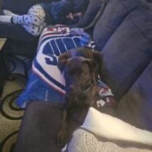 Group logo of Ryans Wedding Day