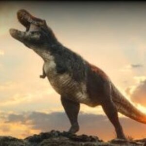 Group logo of Dinosaurs