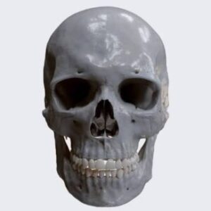 Group logo of You Died!